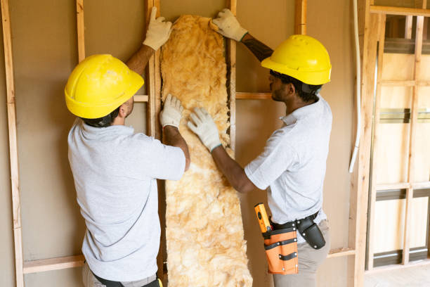 Eco-Friendly or Green Insulation Solutions in Greenwood Village, CO